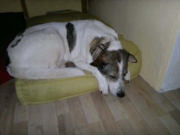 med_Gehts mir schlecht.jpg (600 x 450)